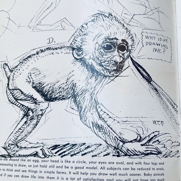 Vintage How To Draw By Walter Foster Butterflies Flowers Trees Shrubs Heads - Picture 5 of 6